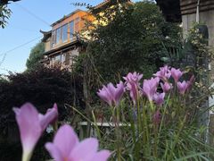 -山间农家