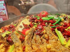 -老板恋上鱼(恒隆广场店)