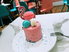 火烈鸟-随心小姐