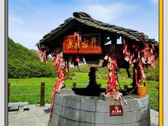 -大围山国家森林公园