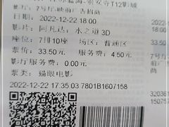 -幸福蓝海国际影城(崇安寺T12店)