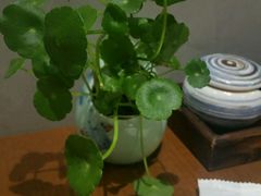 -麦秋寿司(富都广场店)