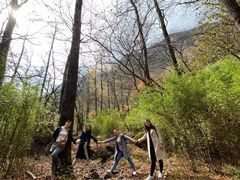 -青峰峡国家森林公园