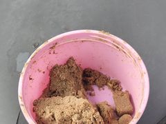 -成飞公园