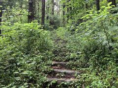 -素山寺森林公园