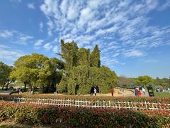 -上海月湖雕塑公园