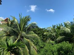 -三亚海棠湾万丽度假酒店