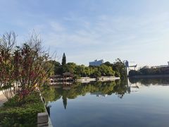 -西湖公园(鼓楼区)