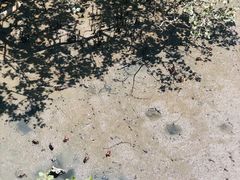 -北海金海湾红树林生态旅游区