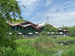 -西湖风景区-江洋畈生态公园