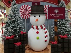 -中免(澳门机场免税店)