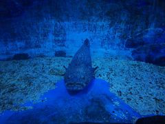 -多彩贵州城极地海洋世界