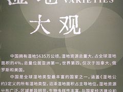 -中国湿地博物馆