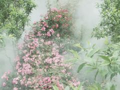 -正宗火盆自助烧烤·烤全羊·柴火鸡(龙泉山店)