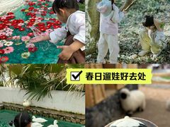 -HERRE·FARM 赫尔露营农场·团建聚会包场