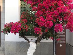 -广州神农草堂中医药博物馆