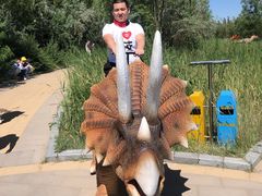 -亿利库布其七星湖沙漠生态旅游区