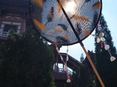 -龙口南山旅游景区