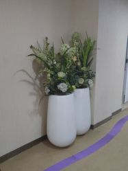 -安徽合肥韩美整形外科医院