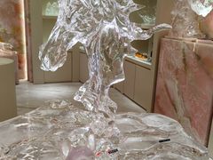 -深圳湾万象城(南山店)