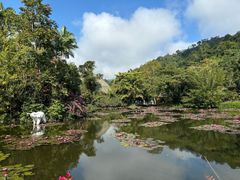 -野象谷景区