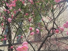 -星巴克(上海虹桥站2A检票口)