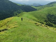 -大姆山草场