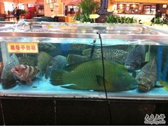 -渔民新村(番禺总店)