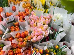 -循礼门鲜花花市(武汉循礼门店)