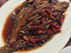 -林之六八·6886大连老菜馆