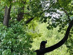 -J Create城市露营咖啡·简餐·宠物(上海动物园店)