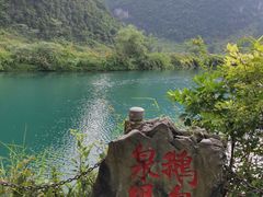 -靖西鹅泉风景区