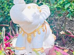 -西双版纳傣族园