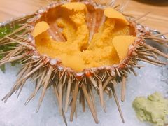 -吉川居酒屋(建国北路店)