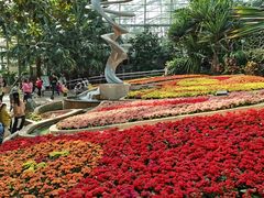 -南山植物园