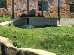 -无锡动物园·太湖欢乐园