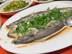 -船歌·鱼水饺青岛菜(正阳路店)