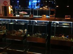 -璞御·海鲜·雪花牛肉局(宾水西道店)