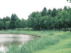 -宁波杭州湾国家湿地公园