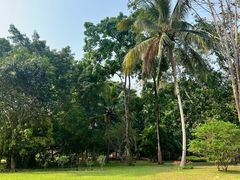 -中国科学院西双版纳热带植物园