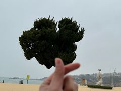 -青岛第一海水浴场