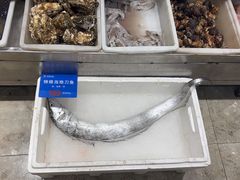 -品味居·首店·大连鲜活海鲜大连菜(东港店)