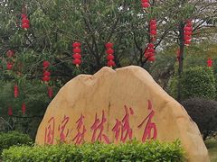 -三水森林公园