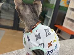 -爱侣宠医·鹦鹉专科·小型哺乳类·异宠专科(灵石路店)