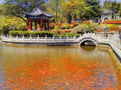 -湛山寺