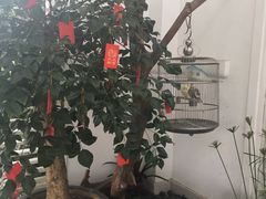 -厦门悦华酒店