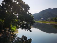 -蒋氏故居