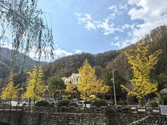 -牛背梁国家森林公园