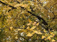 -苏州河梦清园环保主题公园