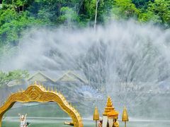 -西双版纳原始森林公园